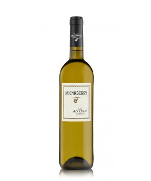 Vin blanc Mignaberry Irouleguy AOC 50cl | Maison Ederki